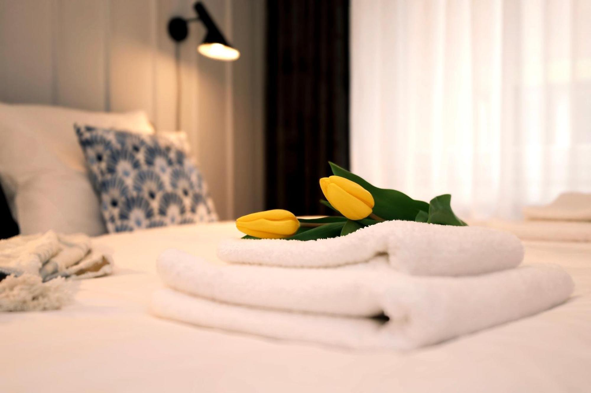 Zur Burg Apartment Bad Bentheim Ngoại thất bức ảnh